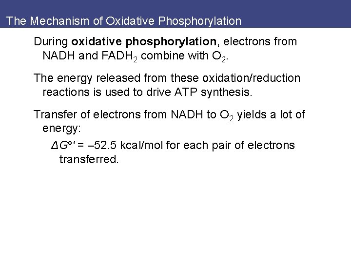 The Mechanism of Oxidative Phosphorylation During oxidative phosphorylation, electrons from NADH and FADH 2