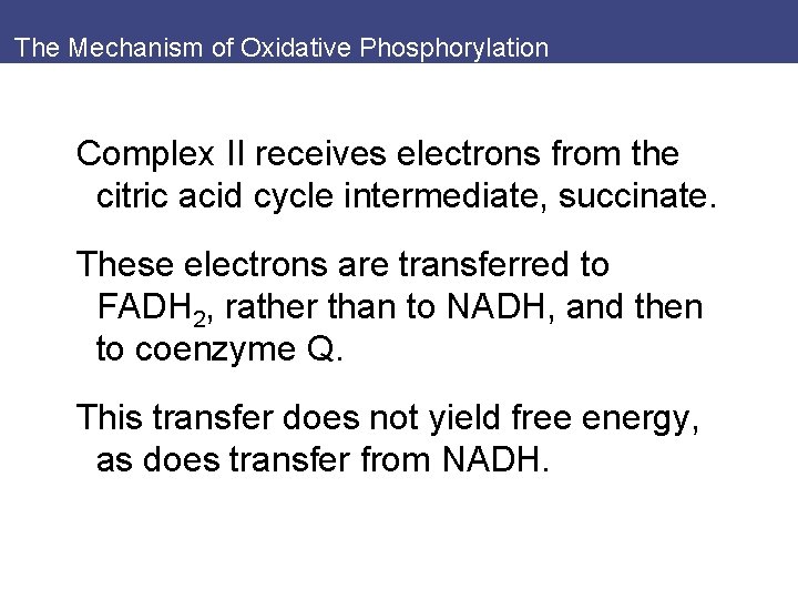 The Mechanism of Oxidative Phosphorylation Complex II receives electrons from the citric acid cycle