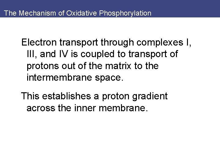 The Mechanism of Oxidative Phosphorylation Electron transport through complexes I, III, and IV is