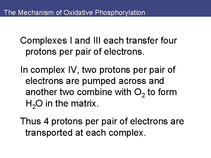 The Mechanism of Oxidative Phosphorylation Complexes I and III each transfer four protons per