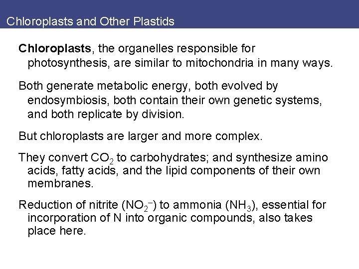 Chloroplasts and Other Plastids Chloroplasts, the organelles responsible for photosynthesis, are similar to mitochondria