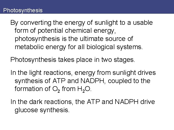 Photosynthesis By converting the energy of sunlight to a usable form of potential chemical