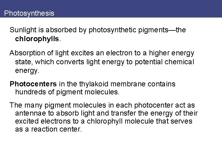 Photosynthesis Sunlight is absorbed by photosynthetic pigments—the chlorophylls. Absorption of light excites an electron