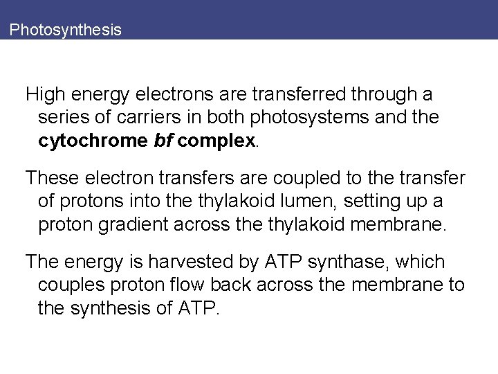 Photosynthesis High energy electrons are transferred through a series of carriers in both photosystems