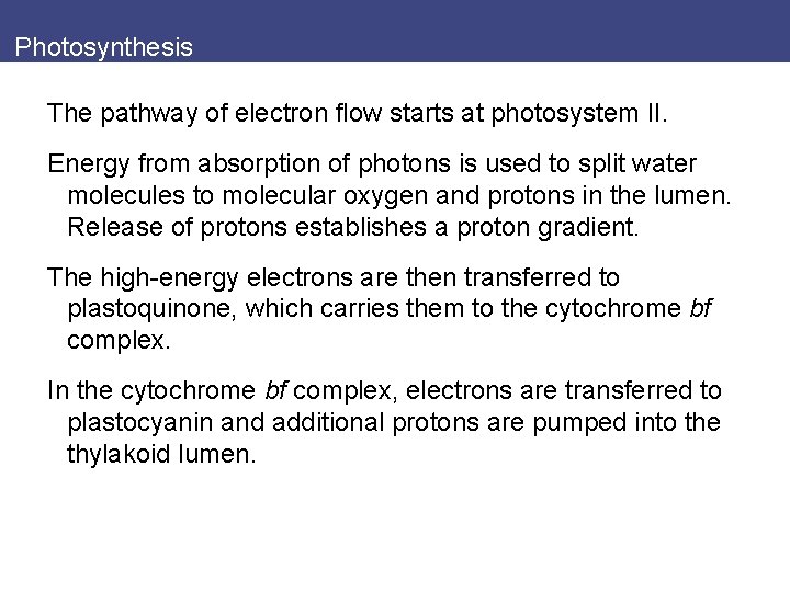 Photosynthesis The pathway of electron flow starts at photosystem II. Energy from absorption of