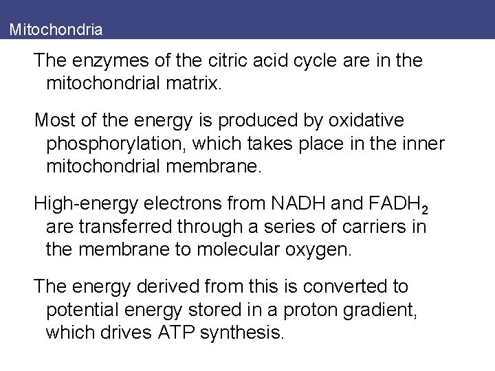 Mitochondria The enzymes of the citric acid cycle are in the mitochondrial matrix. Most
