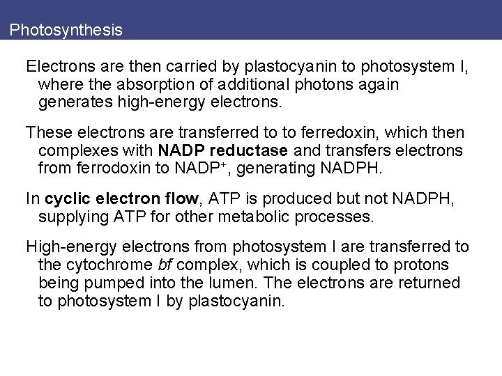 Photosynthesis Electrons are then carried by plastocyanin to photosystem I, where the absorption of