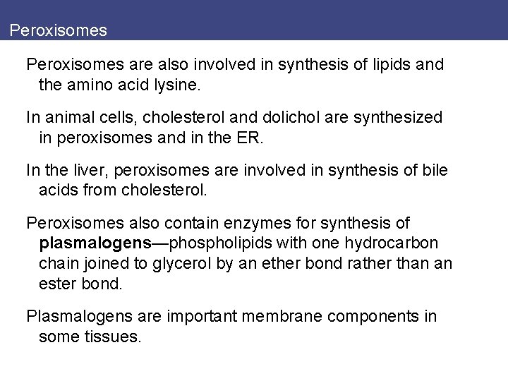 Peroxisomes are also involved in synthesis of lipids and the amino acid lysine. In
