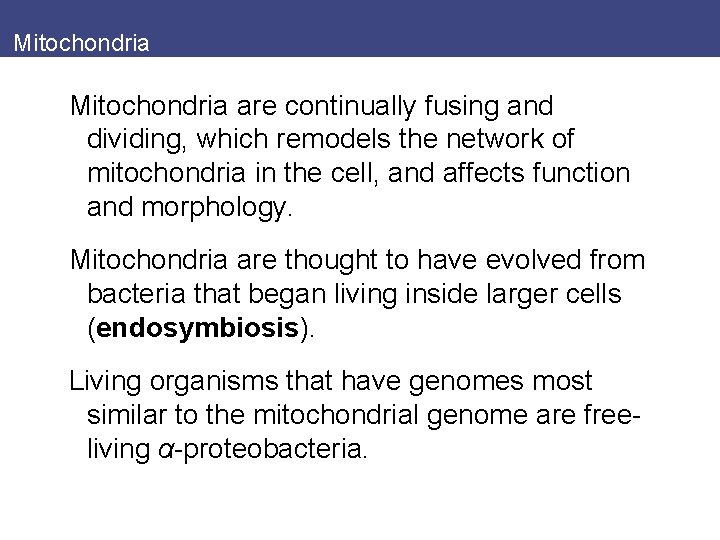 Mitochondria are continually fusing and dividing, which remodels the network of mitochondria in the