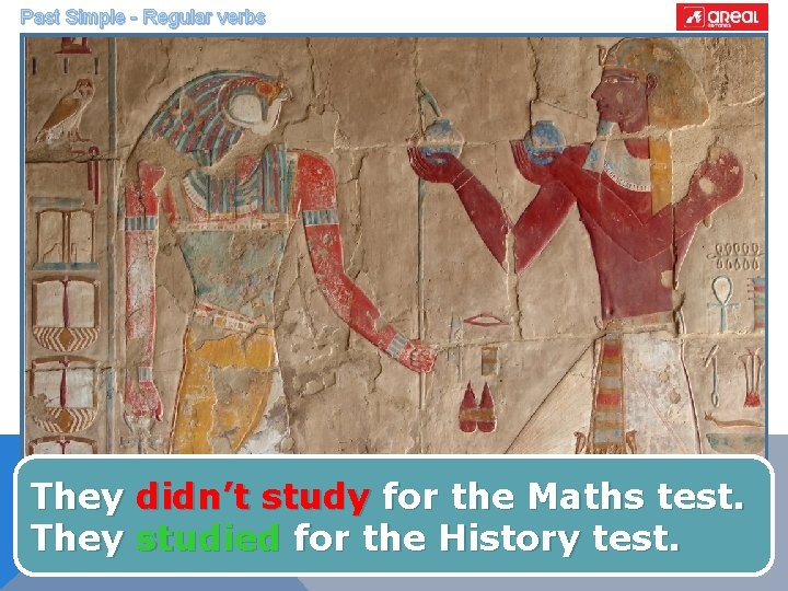 Past Simple - Regular verbs They didn’t study for the Maths test. They studied