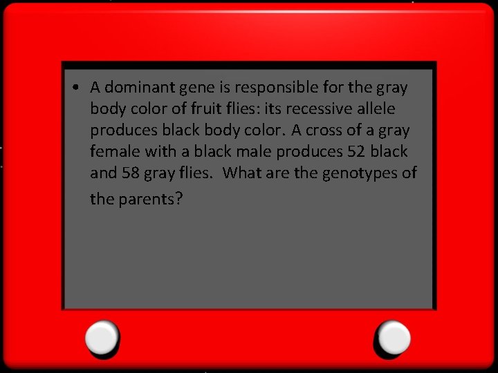  • A dominant gene is responsible for the gray body color of fruit