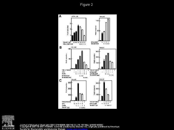 Figure 2 Journal of Biological Chemistry 2001 27642908 -42914 DOI: (10. 1074/jbc. M 105316200)