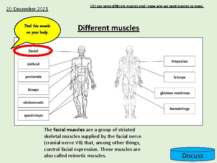 20 December 2021 Find this muscle on your body. LO: I can name different