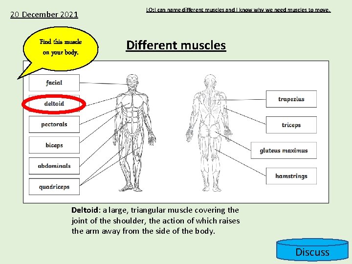 20 December 2021 Find this muscle on your body. LO: I can name different