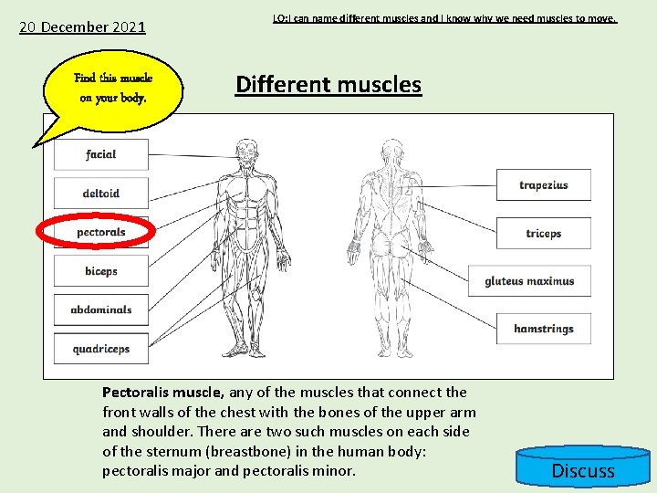 20 December 2021 Find this muscle on your body. LO: I can name different