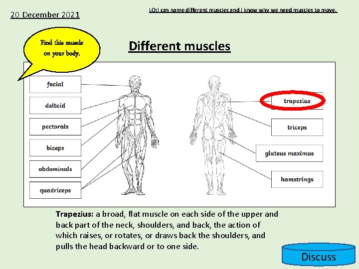 20 December 2021 Find this muscle on your body. LO: I can name different