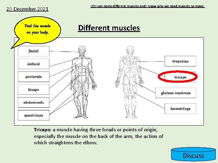 20 December 2021 Find this muscle on your body. LO: I can name different