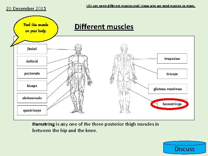 20 December 2021 Find this muscle on your body. LO: I can name different
