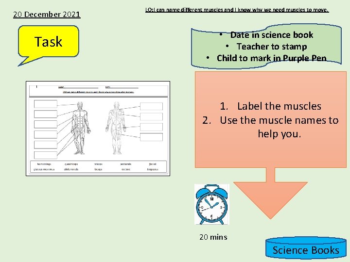 20 December 2021 Task LO: I can name different muscles and I know why