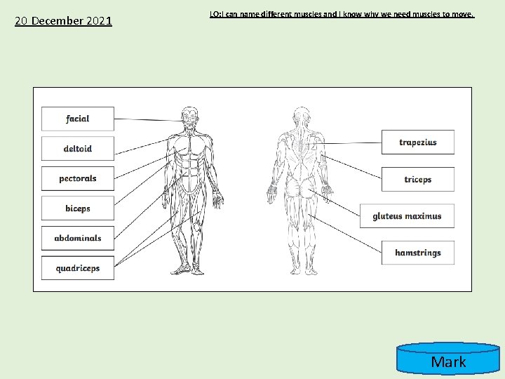 20 December 2021 LO: I can name different muscles and I know why we