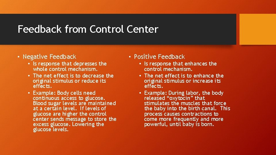 Feedback from Control Center • Negative Feedback • Is response that depresses the whole