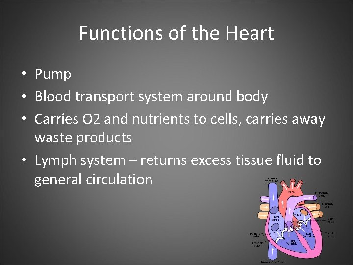 Functions of the Heart • Pump • Blood transport system around body • Carries