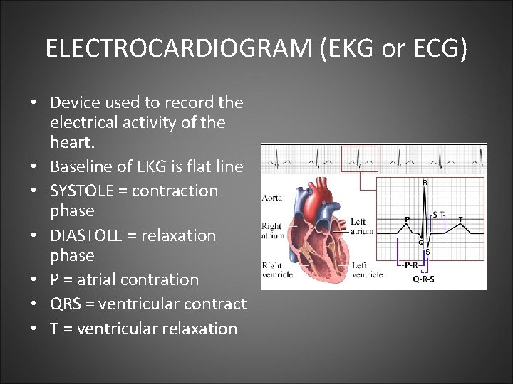 ELECTROCARDIOGRAM (EKG or ECG) • Device used to record the electrical activity of the