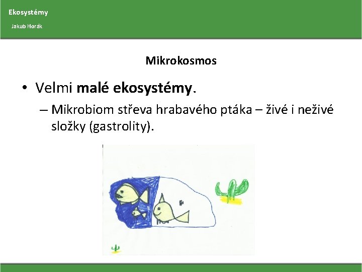 Ekosystémy Jakub Horák Mikrokosmos • Velmi malé ekosystémy. – Mikrobiom střeva hrabavého ptáka –