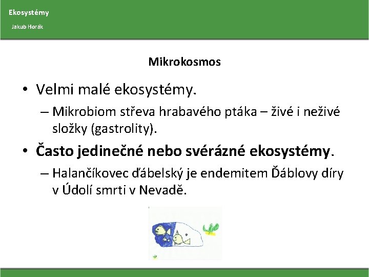 Ekosystémy Jakub Horák Mikrokosmos • Velmi malé ekosystémy. – Mikrobiom střeva hrabavého ptáka –