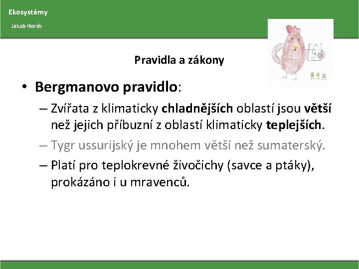 Ekosystémy Jakub Horák Pravidla a zákony • Bergmanovo pravidlo: – Zvířata z klimaticky chladnějších