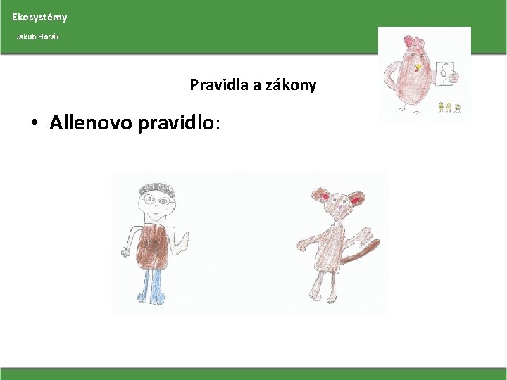 Ekosystémy Jakub Horák Pravidla a zákony • Allenovo pravidlo: 