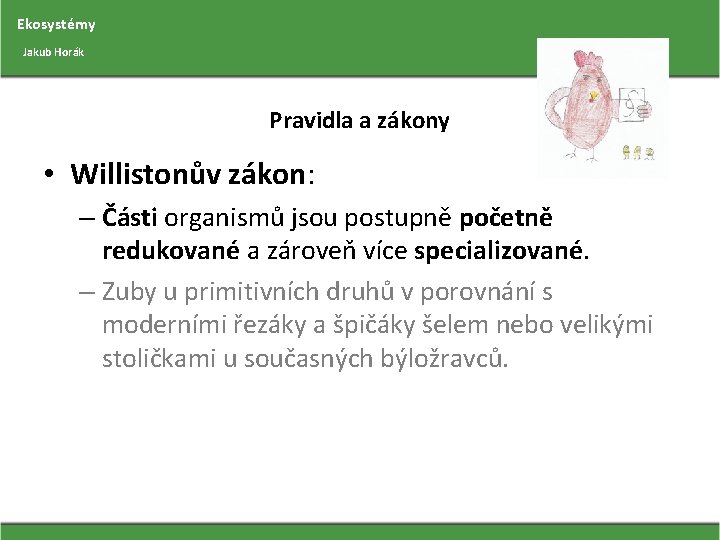 Ekosystémy Jakub Horák Pravidla a zákony • Willistonův zákon: – Části organismů jsou postupně