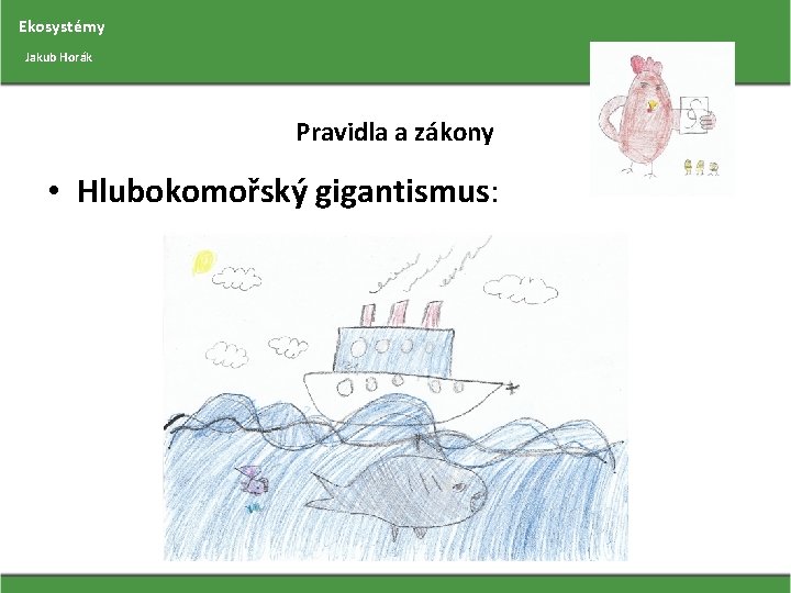 Ekosystémy Jakub Horák Pravidla a zákony • Hlubokomořský gigantismus: 