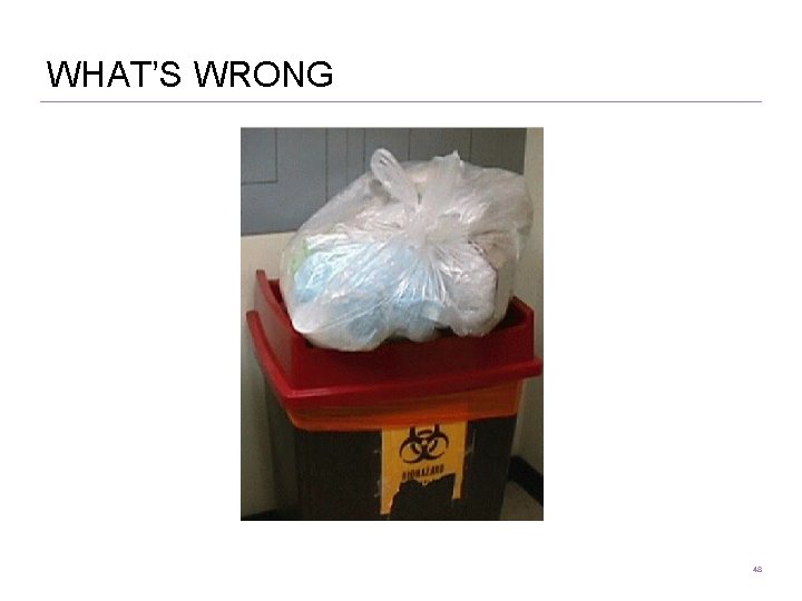 WHAT’S WRONG 48 