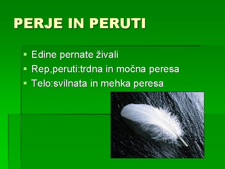 PERJE IN PERUTI § § § Edine pernate živali Rep, peruti: trdna in močna