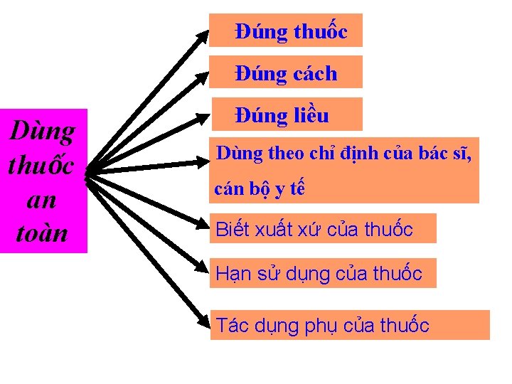 Đúng thuốc Đúng cách Dùng thuốc an toàn Đúng liều Dùng theo chỉ định