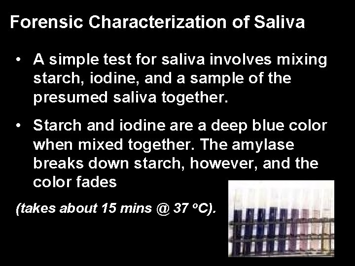 Forensic Characterization of Saliva • A simple test for saliva involves mixing starch, iodine,