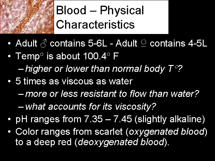 Blood – Physical Characteristics • Adult ♂ contains 5 -6 L - Adult ♀