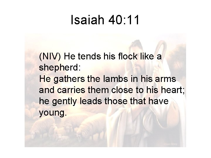 Isaiah 40: 11 (NIV) He tends his flock like a shepherd: He gathers the