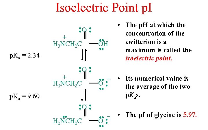 Isoelectric Point p. I • • O • • + H 3 NCH 2