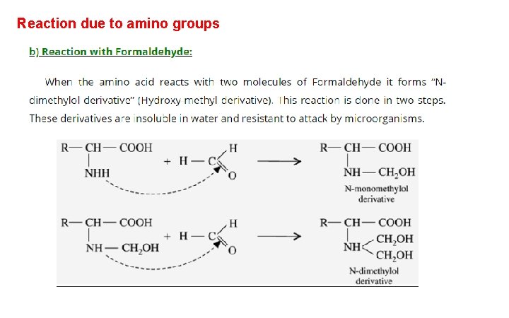 Reaction due to amino groups 