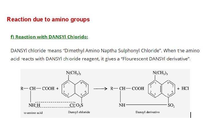 Reaction due to amino groups 