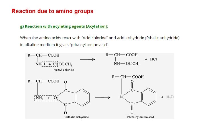 Reaction due to amino groups 