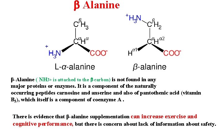  Alanine β-Alanine ( NH 3+ is attached to the carbon) is not found