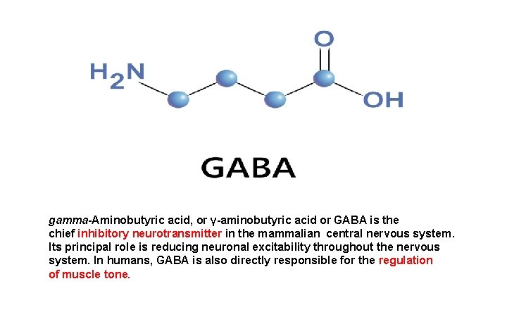 gamma-Aminobutyric acid, or γ-aminobutyric acid or GABA is the chief inhibitory neurotransmitter in the