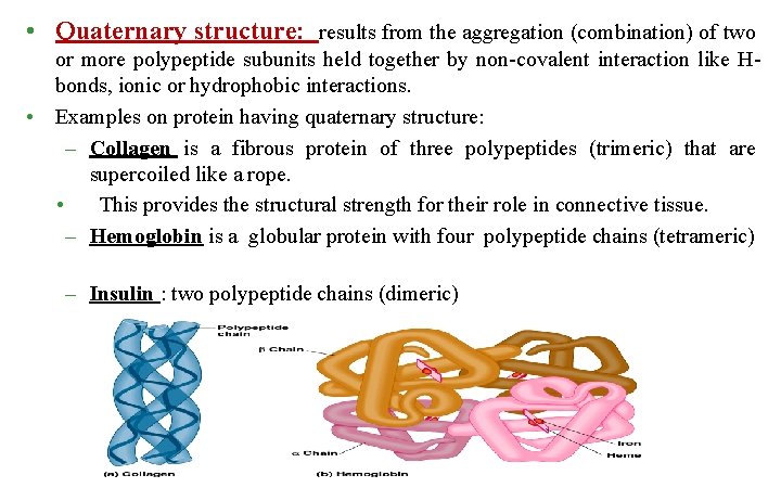  • Quaternary structure: results from the aggregation (combination) of two or more polypeptide
