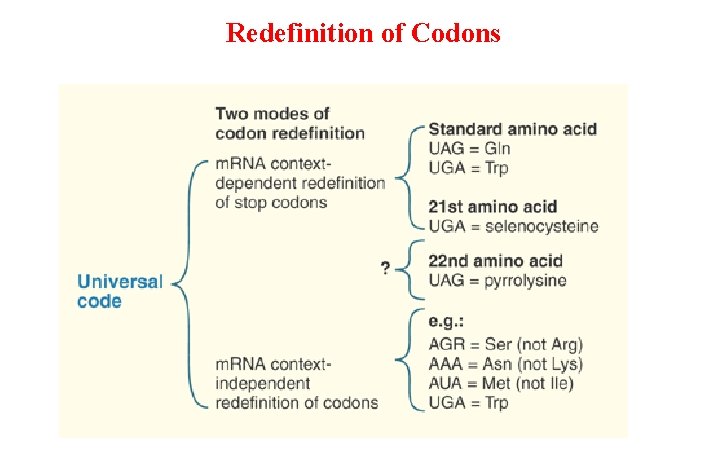 Redefinition of Codons 