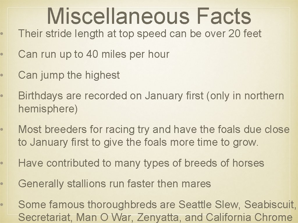 Miscellaneous Facts • Their stride length at top speed can be over 20 feet