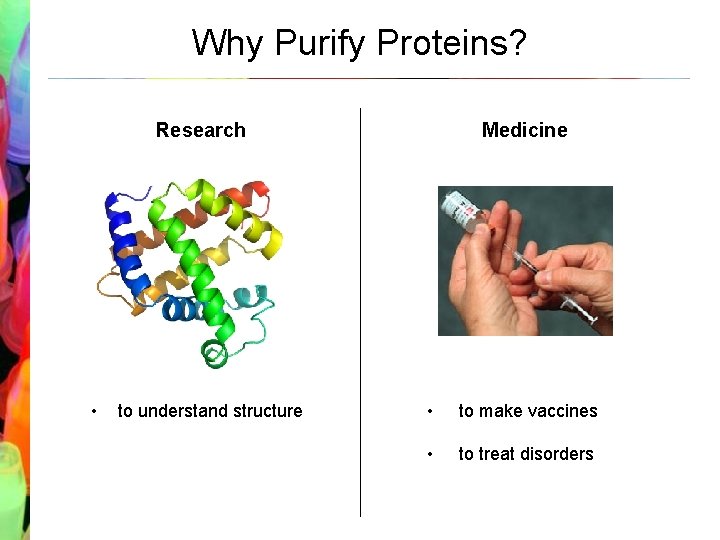 Why Purify Proteins? Research • to understand structure Medicine • to make vaccines •