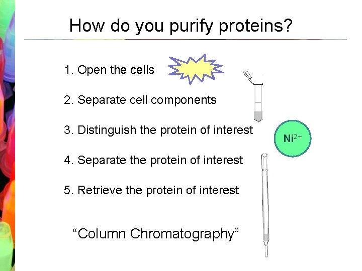 How do you purify proteins? 1. Open the cells 2. Separate cell components 3.